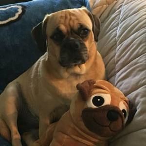 Meet your Posher, Debbie